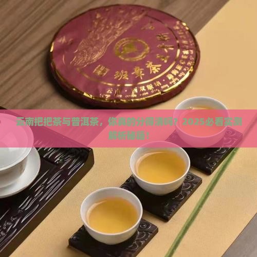 云南把把茶和云南普洱茶的区别