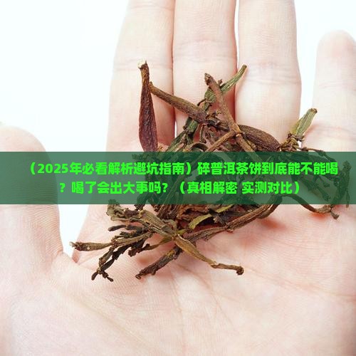 碎普洱茶饼好吗有毒吗安全吗