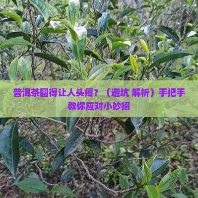 普洱茶圆的太多怎么办