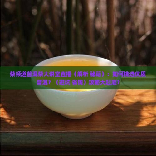 茶频道普洱茶大讲堂直播