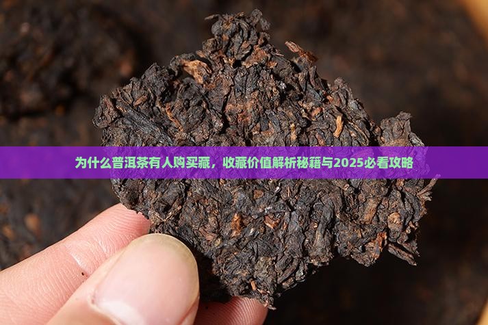 为什么普洱茶有人购买藏