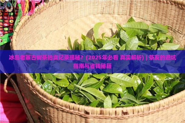 冰岛老寨古树茶拍卖记录