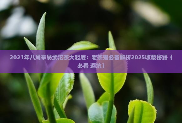 2021年八角亭易武沱茶 2021年八角亭易武沱茶