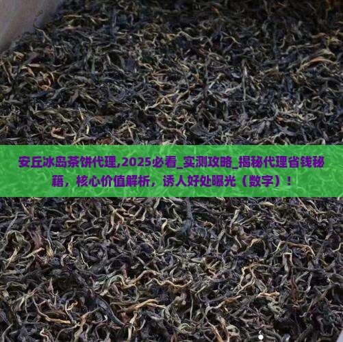 安丘冰岛茶饼代理