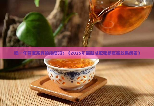 喝一年普洱茶瘦多少斤