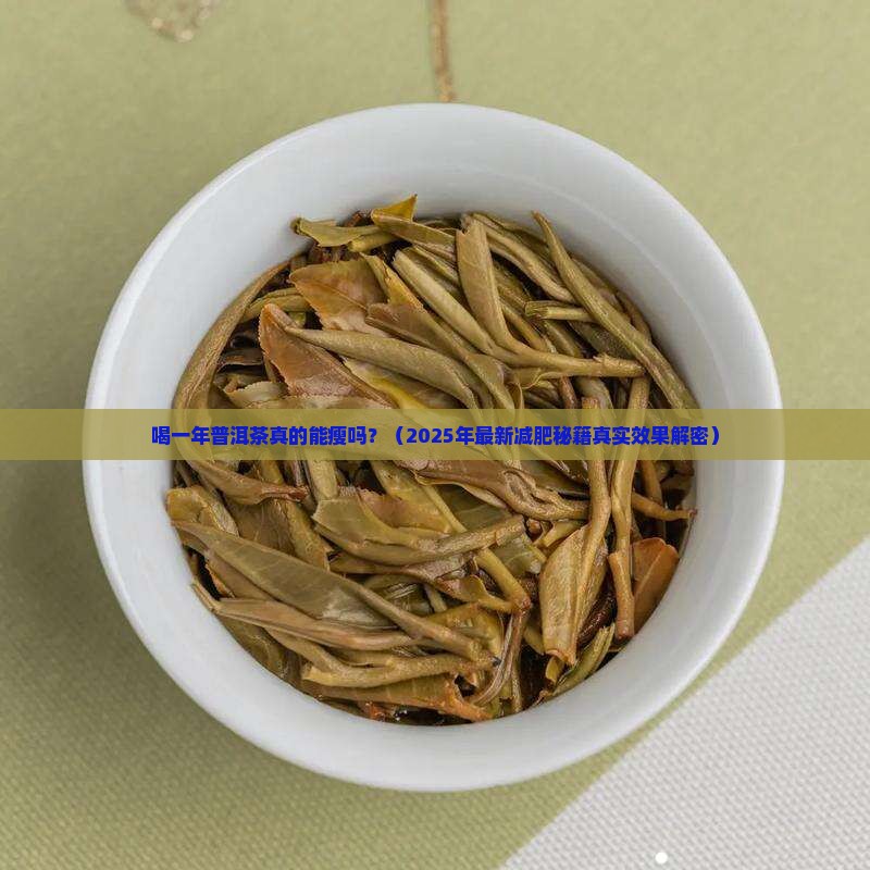 喝一年普洱茶瘦多少斤