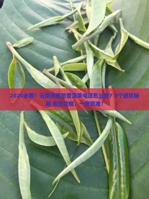 云南海鑫堂普洱茶有限公司电话