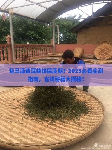 茶马源普洱茶饼保质期