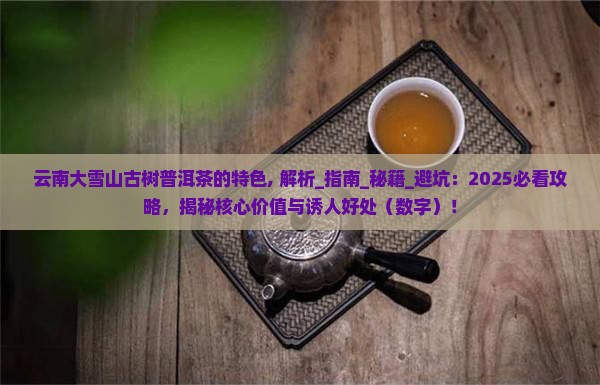 云南大雪山古树普洱茶的特色