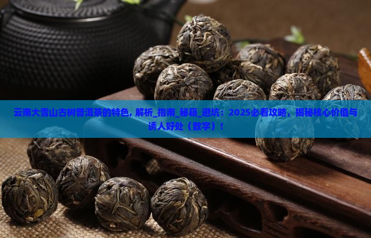云南大雪山古树普洱茶的特色