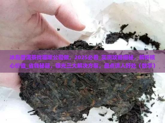冰岛普洱茶找哪家公司做