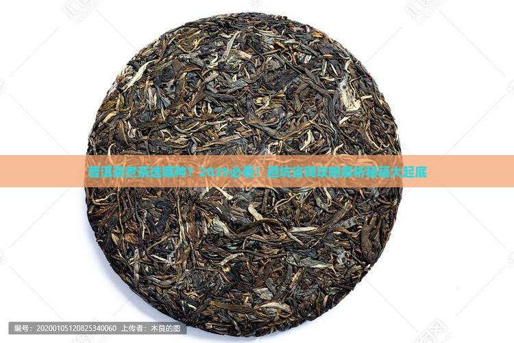 普洱茶煮茶选哪种