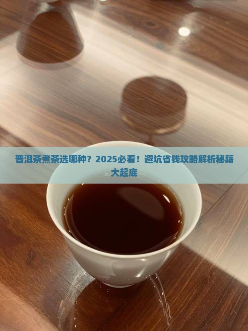 普洱茶煮茶选哪种