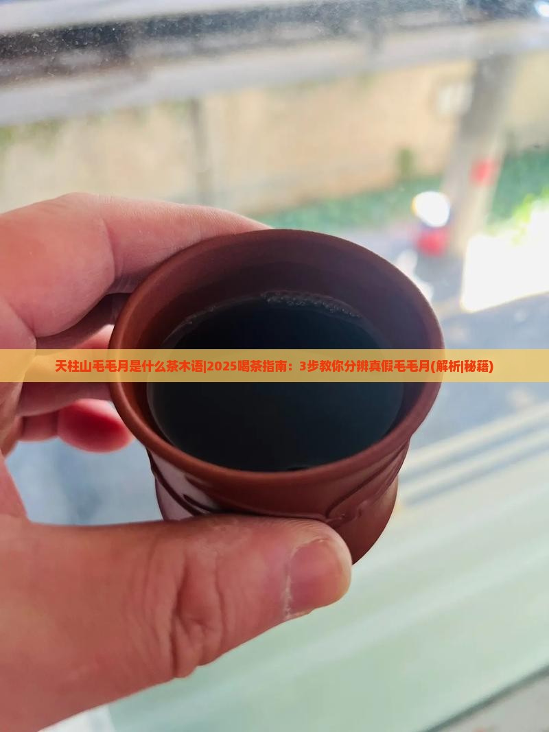 天柱山毛毛月是什么茶木语