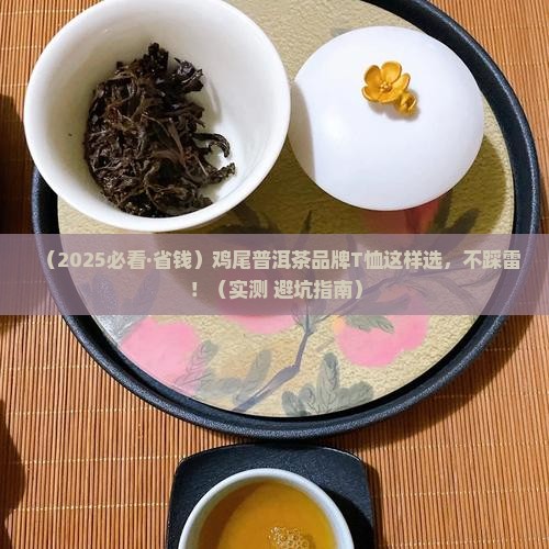 鸡尾普洱茶品牌t恤推荐