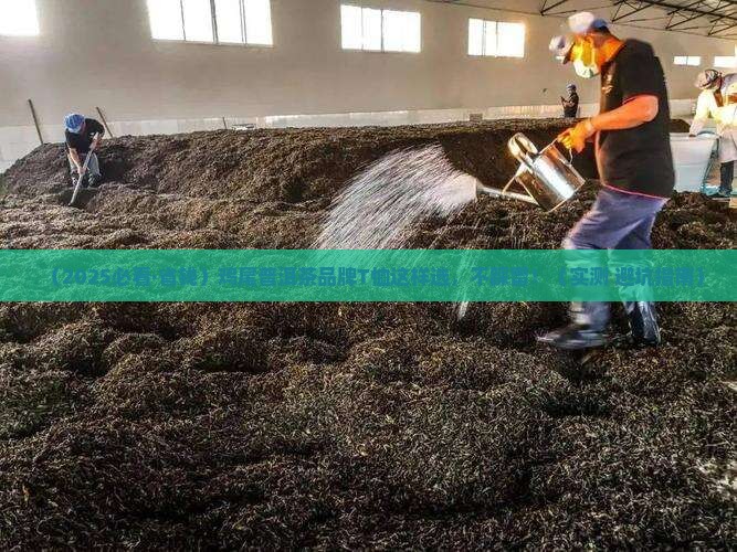 鸡尾普洱茶品牌t恤推荐