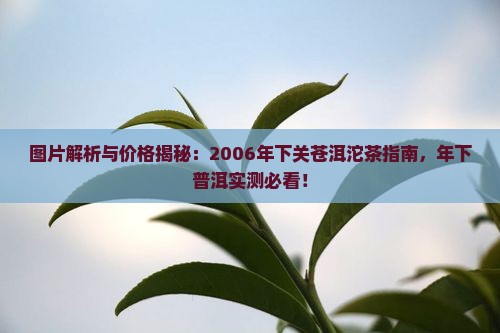 2006年下关苍洱沱茶包装