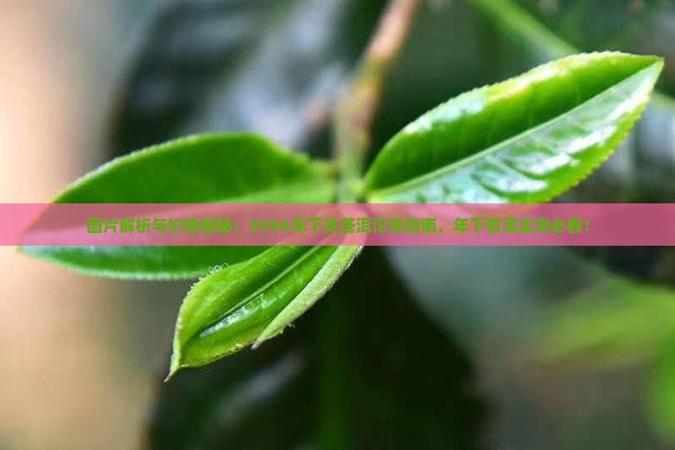 2006年下关苍洱沱茶包装