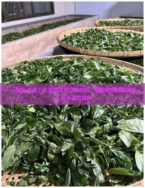 大益普洱茶马中和韵