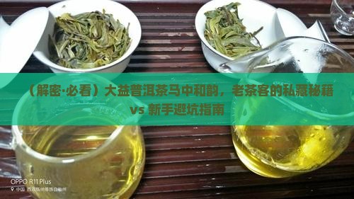大益普洱茶马中和韵