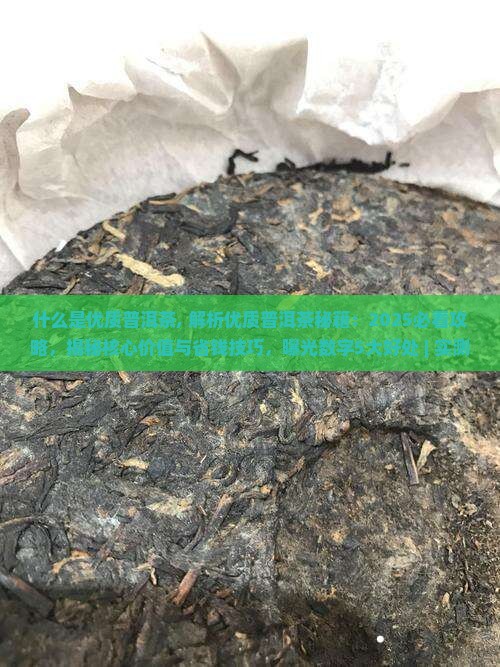 什么是优质普洱茶