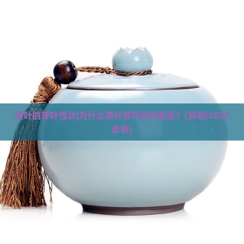 茶叶的芽叶性状