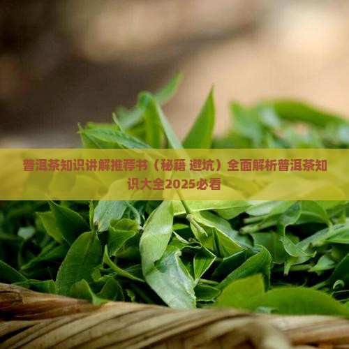 普洱茶知识讲解推荐书