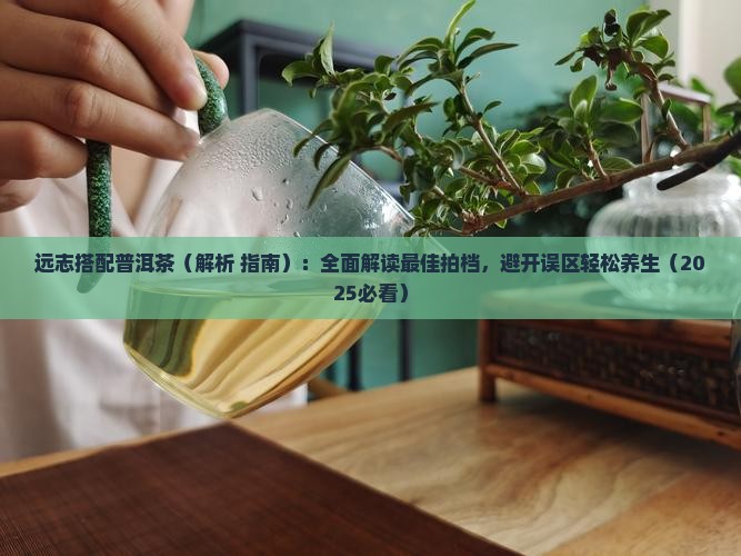 远志搭配普洱茶