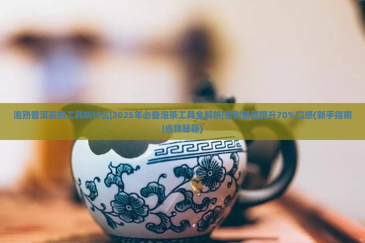 泡熟普洱茶的工具叫什么