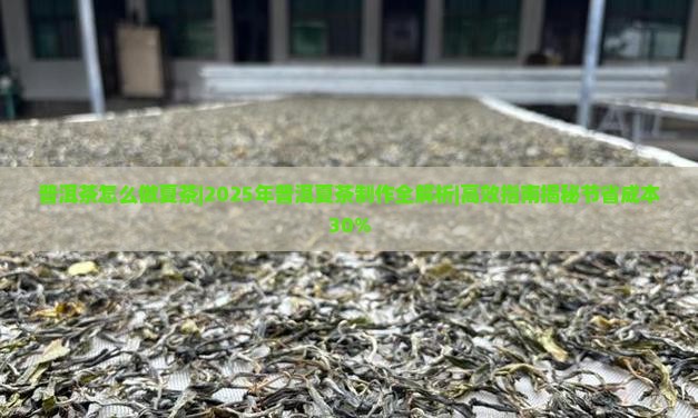普洱茶怎么做夏茶
