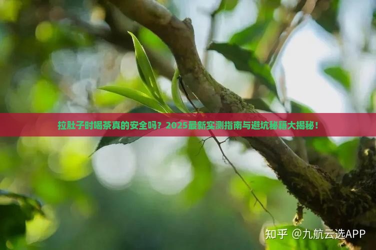 拉肚子可以喝茶叶吗