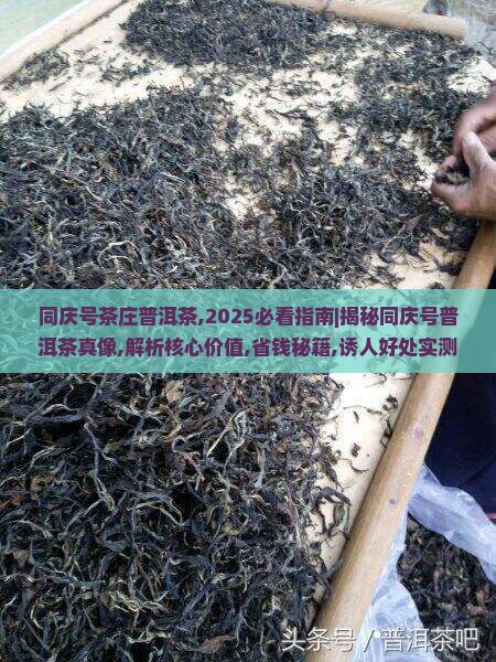 同庆号茶庄普洱茶 同庆号茶庄普洱茶
