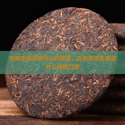 古树生普洱茶什么时间喝