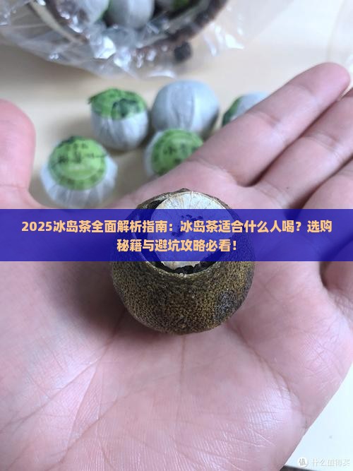 冰岛茶介绍冰岛茶适合什么人喝