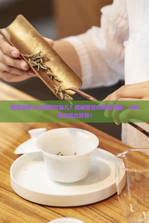 普洱茶多久才有回甘味儿