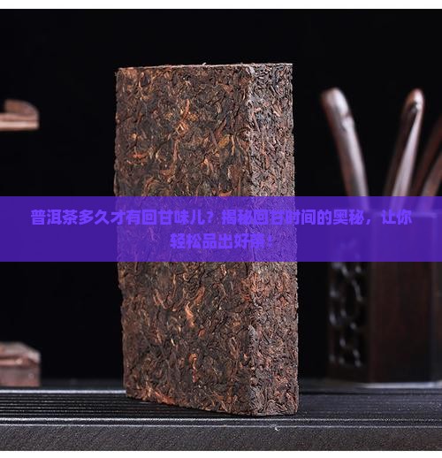 普洱茶多久才有回甘味儿