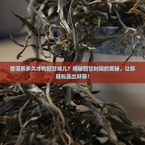 普洱茶多久才有回甘味儿