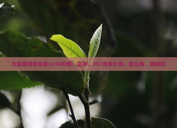 大益普洱茶生茶2o14