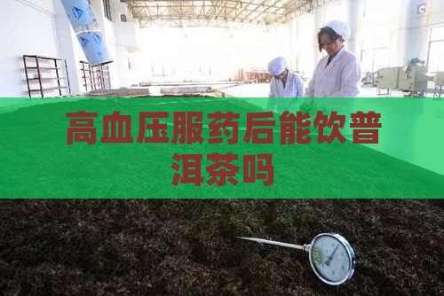 高血压服药后能饮普洱茶吗