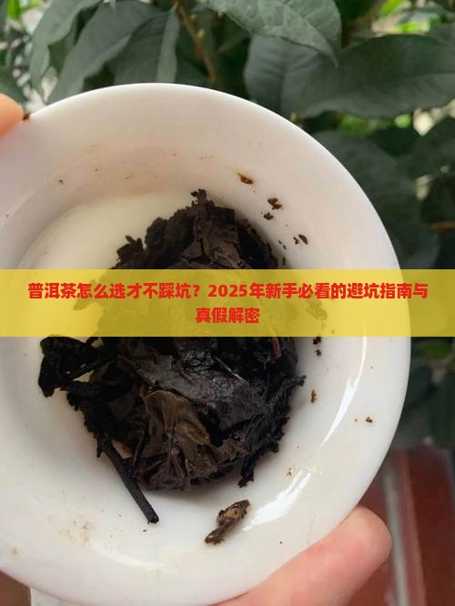 普洱茶怎样选择好坏