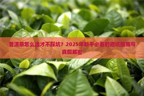 普洱茶怎样选择好坏