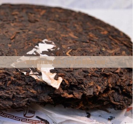 普洱茶属于什么类型的啥