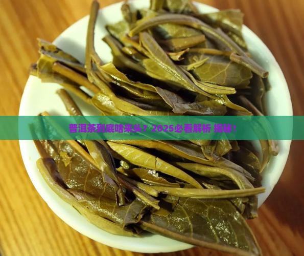 普洱茶属于什么类型的啥