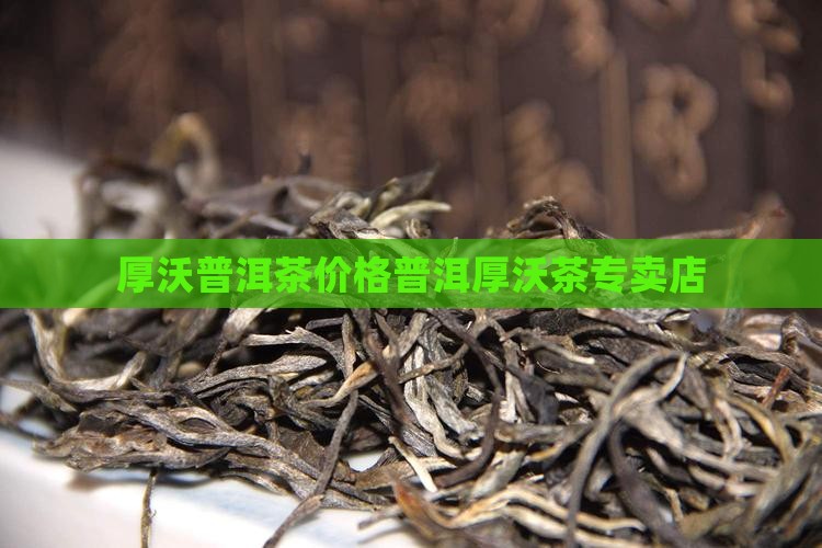 厚沃普洱茶价格厚沃茶专卖店