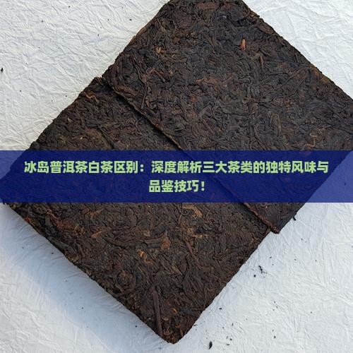 冰岛普洱茶白茶区别