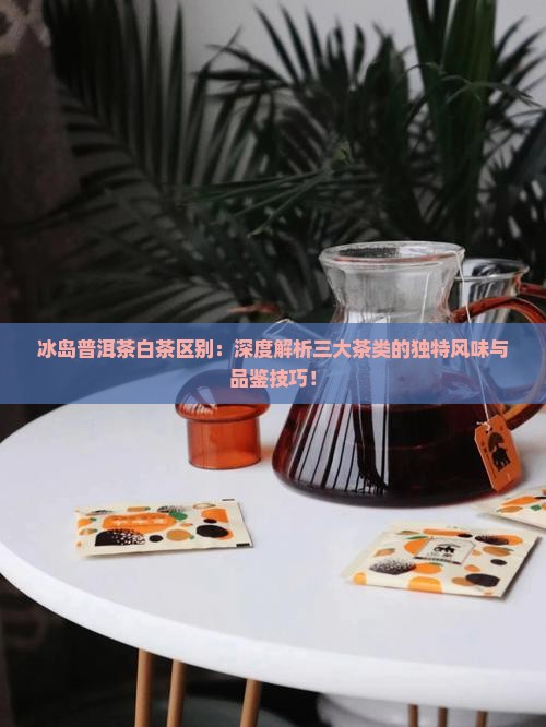 冰岛普洱茶白茶区别