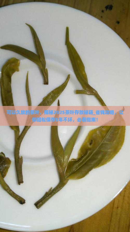 可以久放的茶叶