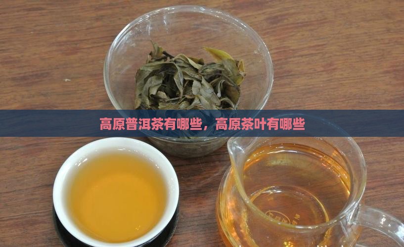 高原普洱茶有哪些