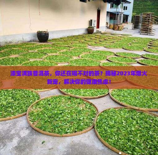 漆宝满族普洱茶