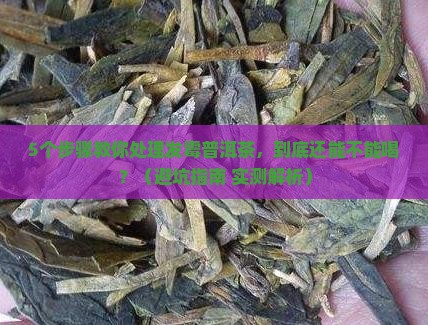 普洱茶有点霉了怎么办